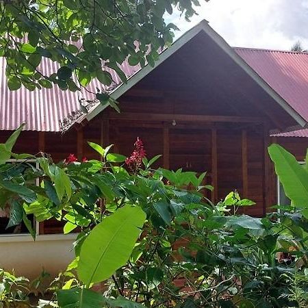 Cabanas Yax-Ha Arroyo Agua Azul Buitenkant foto
