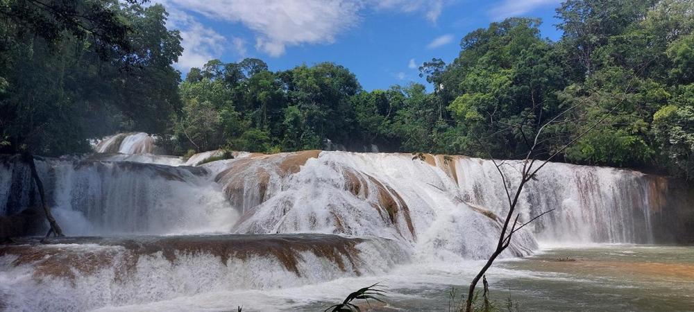 Cabanas Yax-Ha Arroyo Agua Azul Buitenkant foto